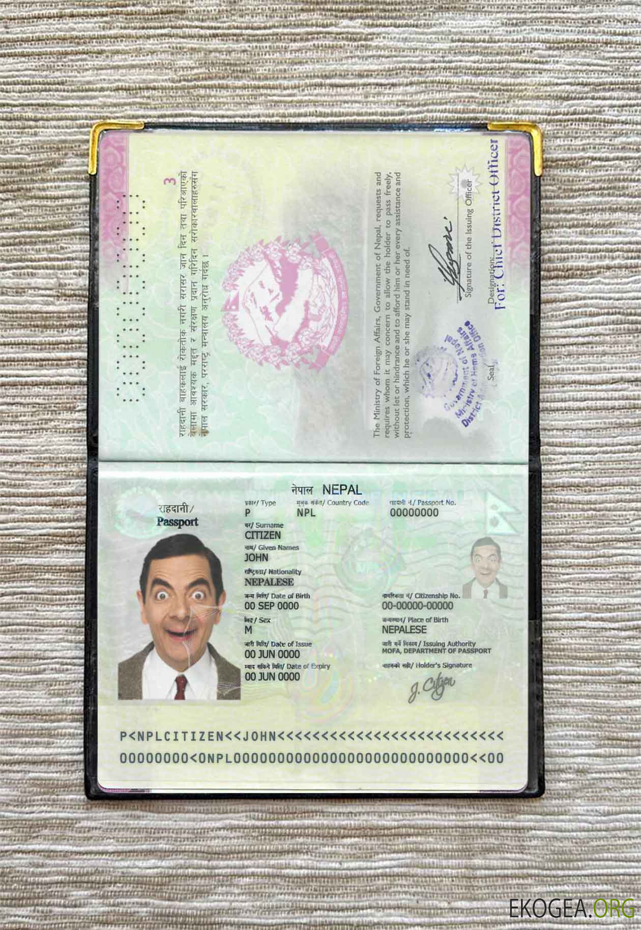 Look photo d'identité du Népal